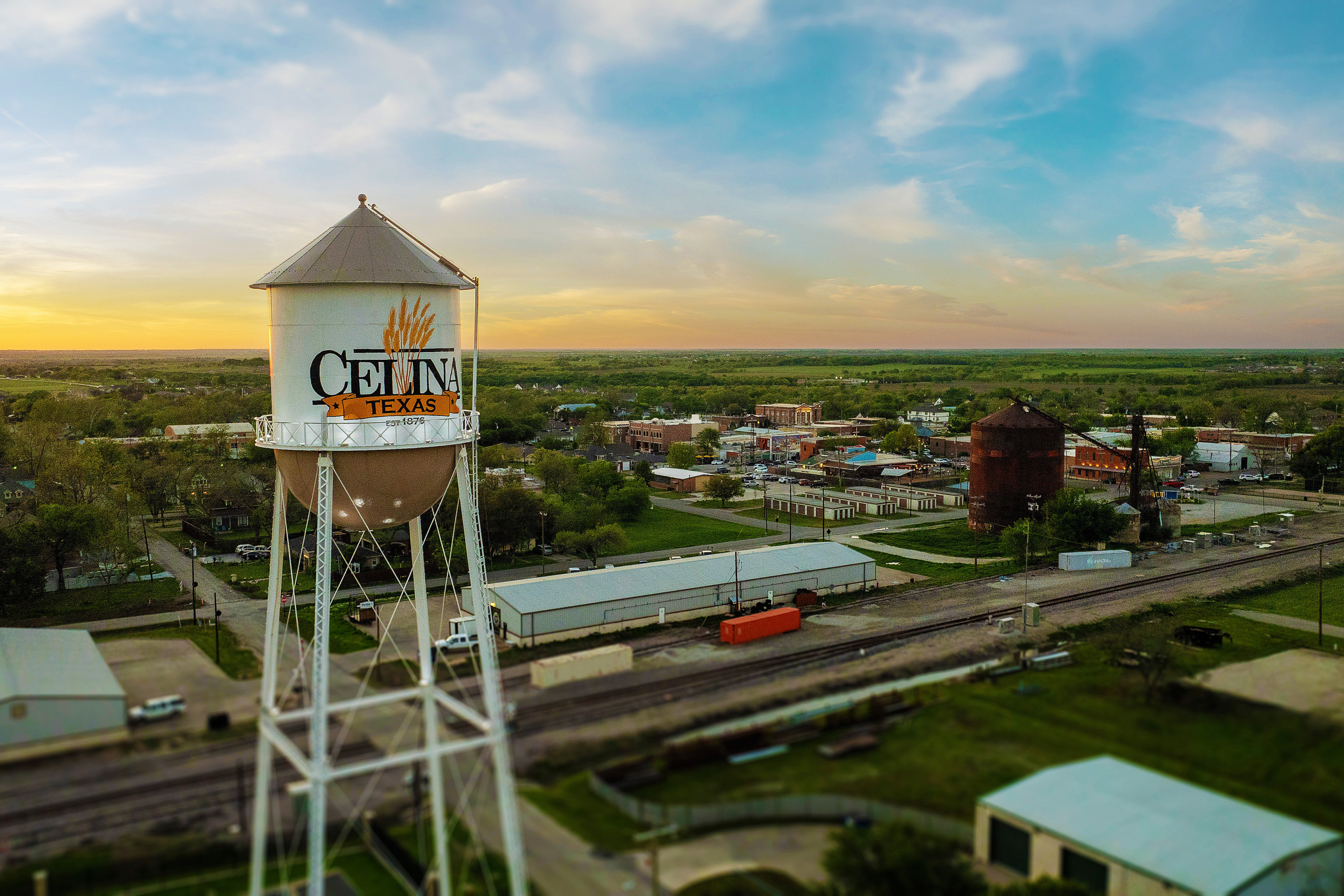 Artificial grass in Celina, TX