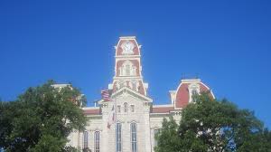 Artificial grass in Parker, TX