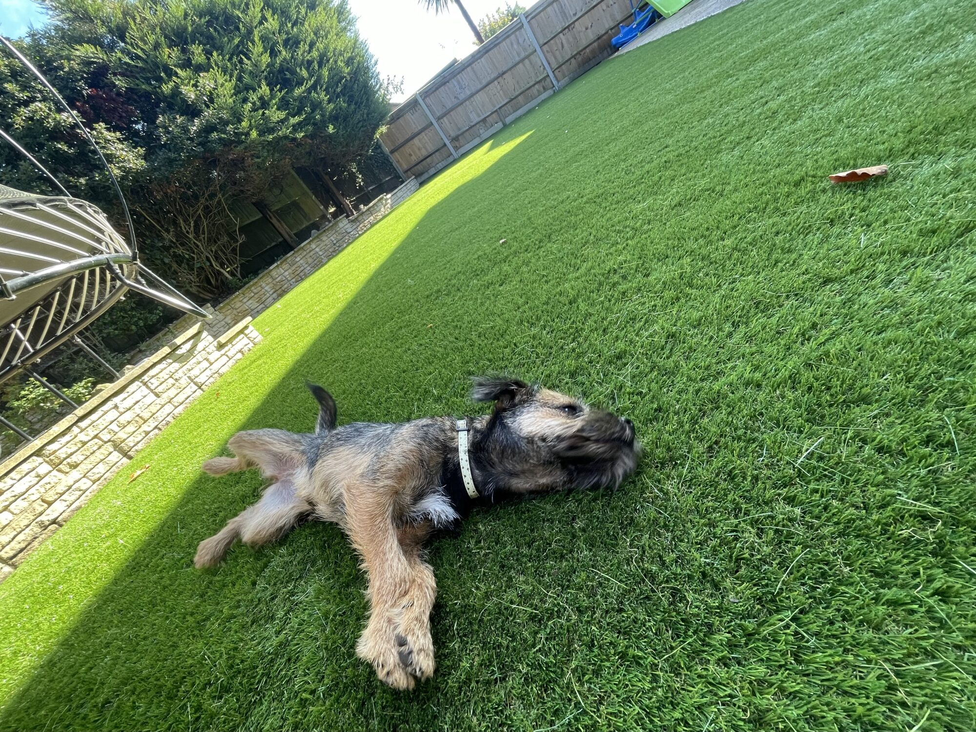 Artificial Grass For Pets